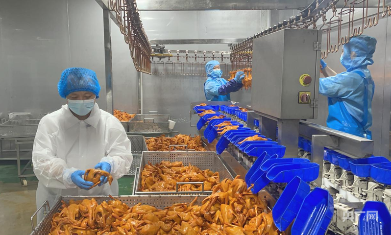 “媒体+”为“兴宁鸽”飞向世界插上“翅膀”