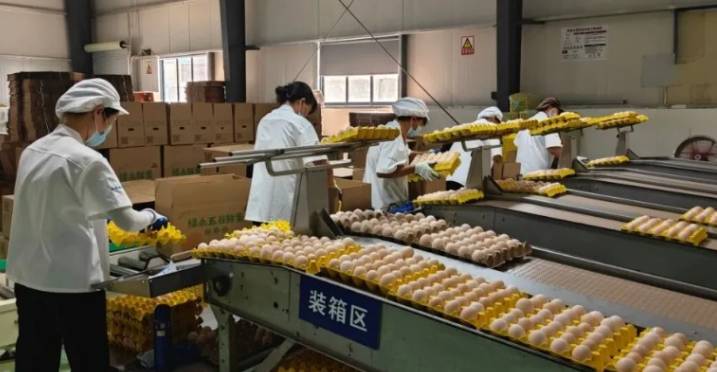 广西日报：桂平首家蛋企获供港资质