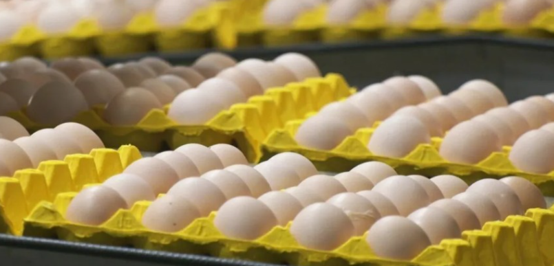 广西日报：桂平首家蛋企获供港资质