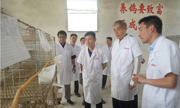 河南省重大科技专项“地方畜禽精准快育种体系构建与新品种选育”现场验收会在天成鸽业召开