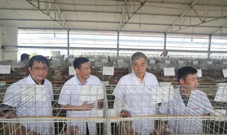 河南省重大科技专项“地方畜禽精准快育种体系构建与新品种选育”现场验收会在天成鸽业召开