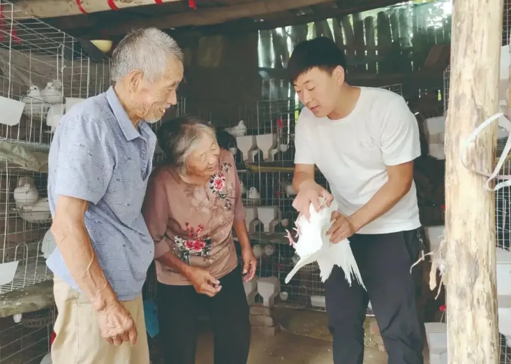 天明鸽业：发展肉鸽产业，助力乡村振兴