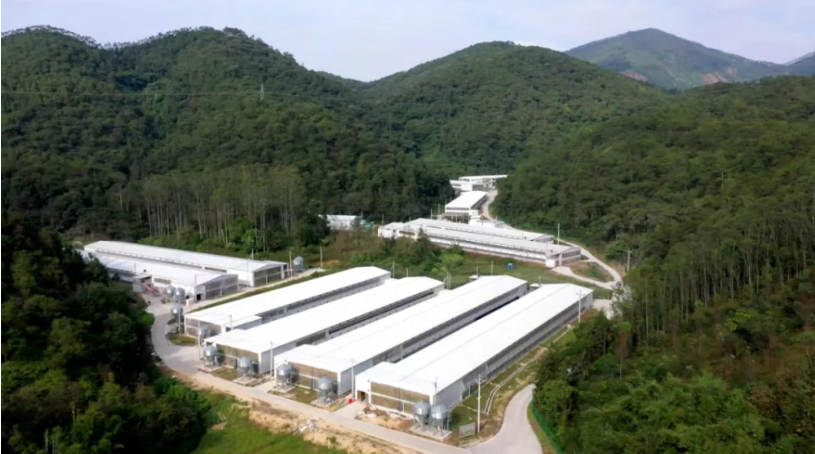 温氏AI兽医“上岗”，从“经验养殖”到“AI养殖”