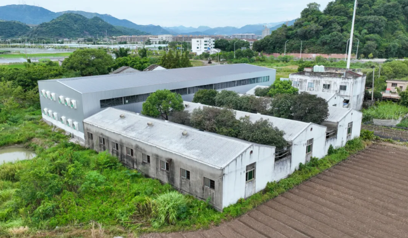 敖峰鸽业：平阳“翱丰1号”从此有了“智慧之家”！