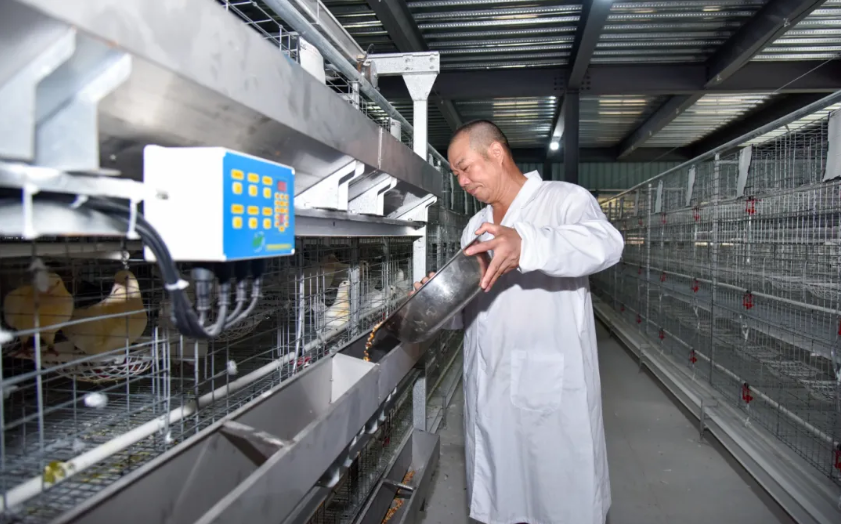 敖峰鸽业：平阳“翱丰1号”从此有了“智慧之家”！