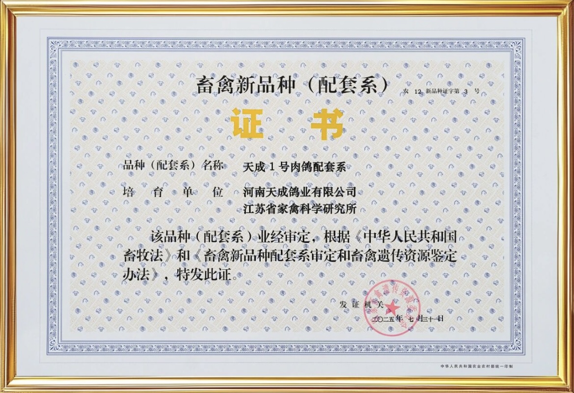 天成鸽业：“天成1号肉鸽”配套系通过国家审定