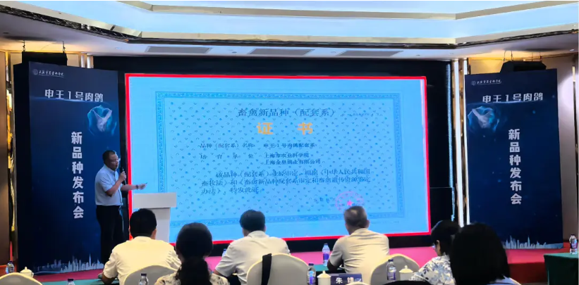 上海首个肉鸽新品种今日正式发布，十年攻坚破解种源“卡脖子”难题！