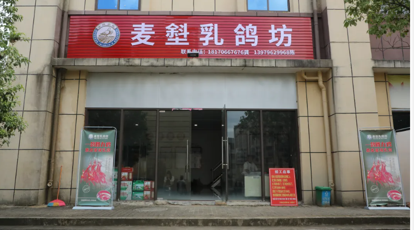 淦旺农牧肉鸽：麦㙦这家智慧鸽场“带飞”村民致富