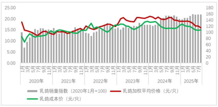 2025年8月鸽业市场监测简报