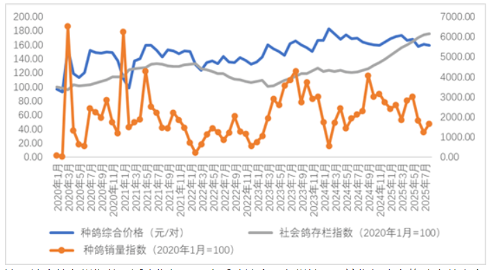 2025年8月鸽业市场监测简报