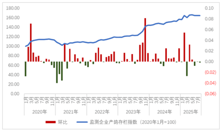 2025年8月鸽业市场监测简报