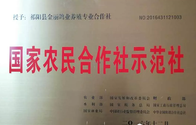 金丽鸽业：祁阳金丽鸽业发展有限公司