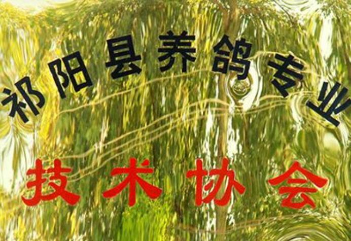 金丽鸽业：祁阳金丽鸽业发展有限公司