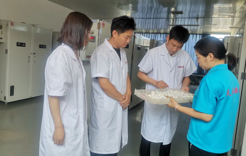 河南天成鸽业：“天成1号”通过国家审定