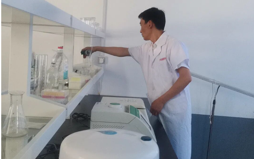 河南天成鸽业：“天成1号”通过国家审定