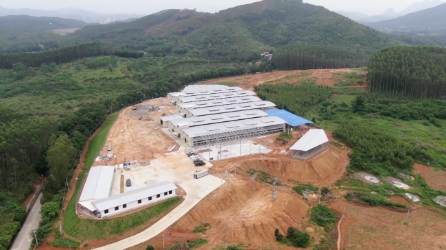 青云鸽业：年出乳鸽将达300万羽，以现代养殖业助力乡村振兴